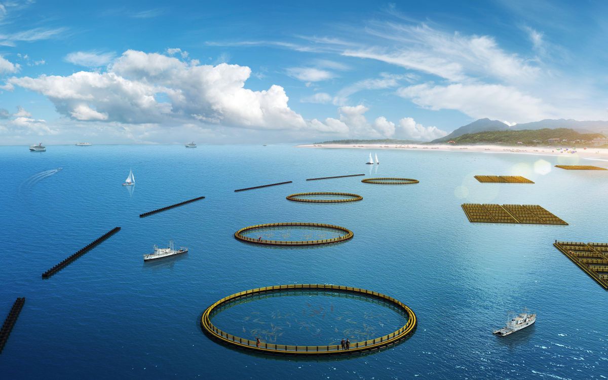 海南海晨水產(chǎn)深海養(yǎng)殖網(wǎng)箱項目